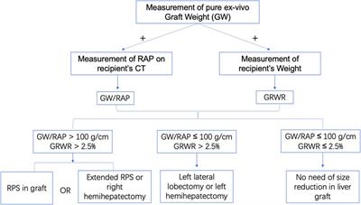 A Novel Strategy for Preventing Posttransplant Large-For-Size Syndrome in Adult Liver Transplant Recipients: A Pilot Study